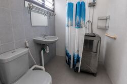Blk 263 Tampines Street 21 (Tampines), HDB 4 Rooms #573013151